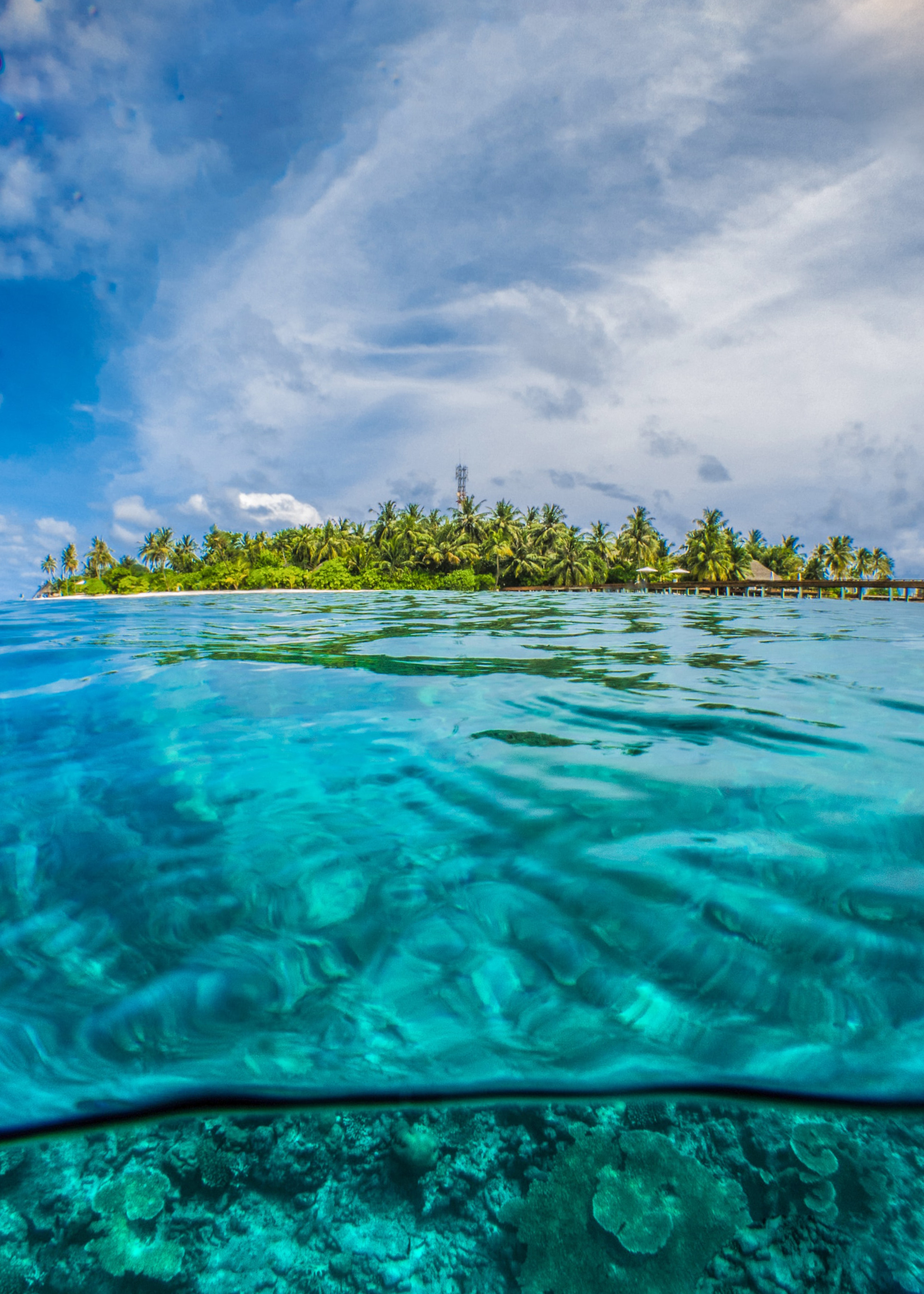 Palm island seen split over and under the waterline